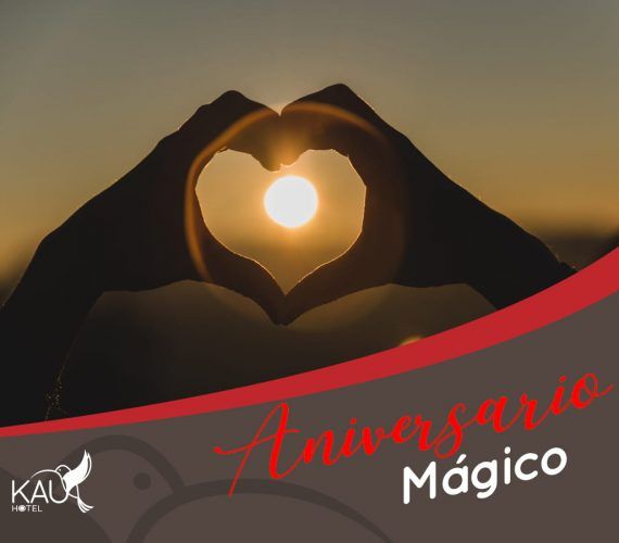 Magical Anniversary Magical Anniversary