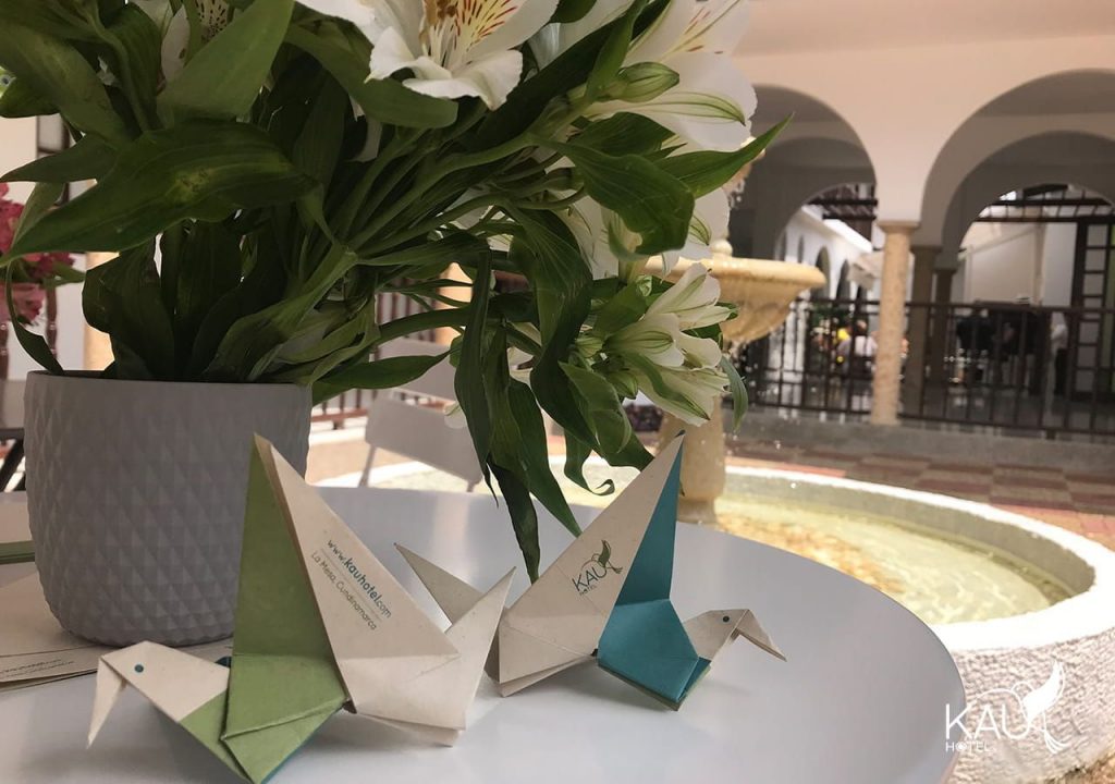 detalle-kau-hotel-colibri