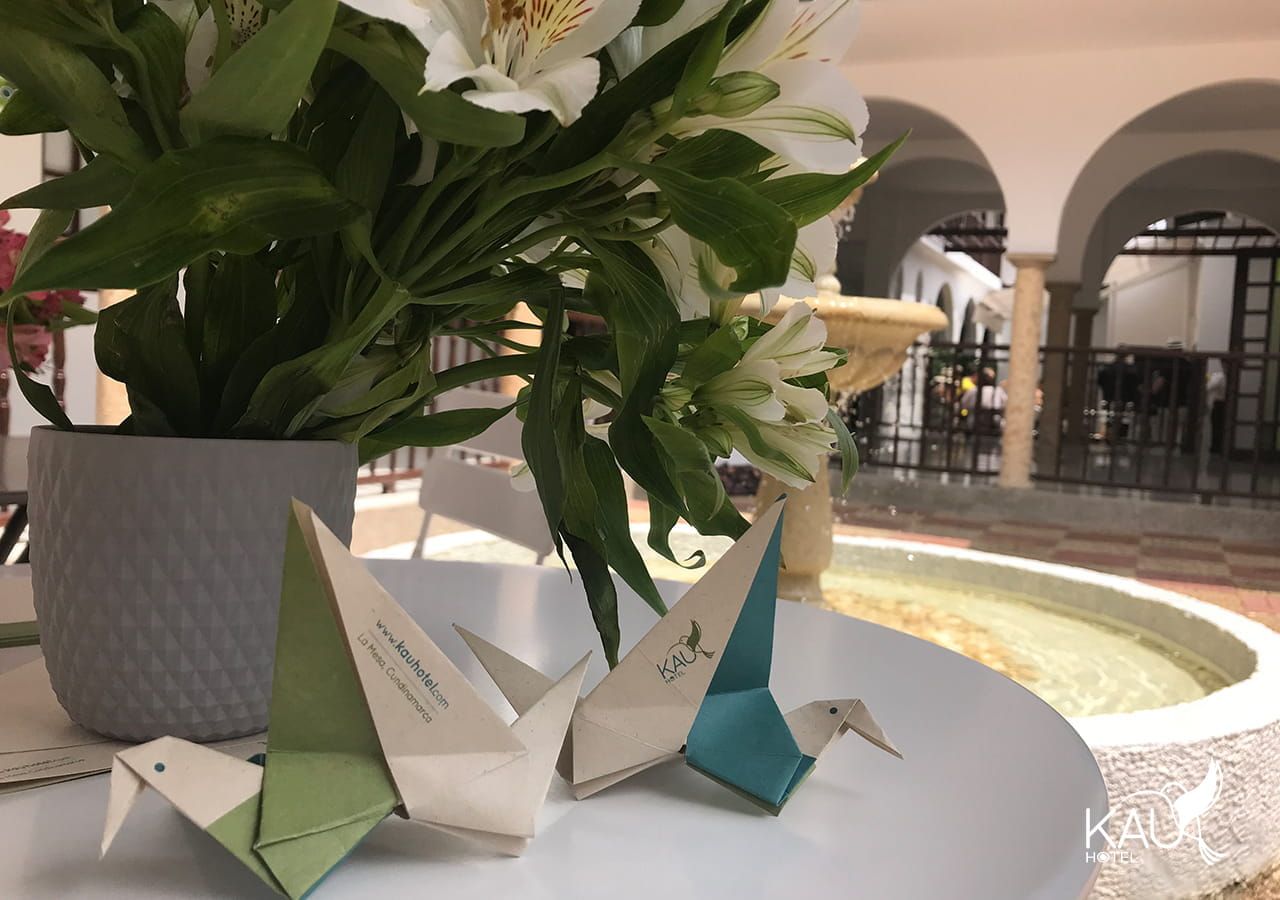 detalle-kau-hotel-colibri