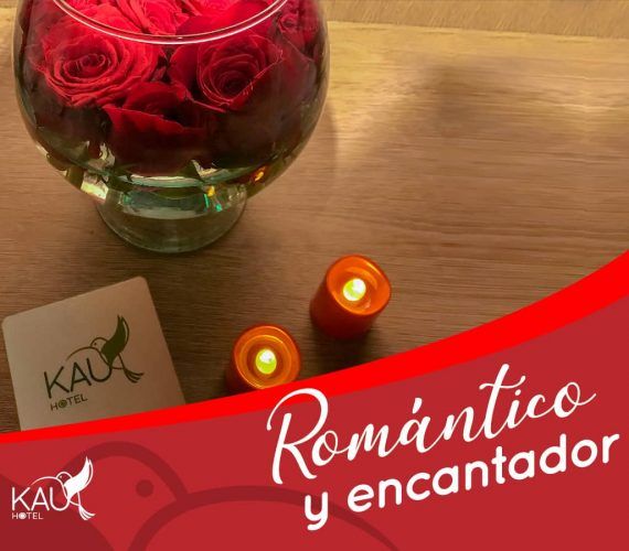 Romantic and charming plan Romantic and charming plan